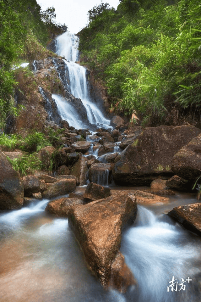 镇街周报｜佛山“双节”文旅成绩单出炉<strong></p>
<p>抹茶交易所杠杆代币</strong>，谁最吸睛