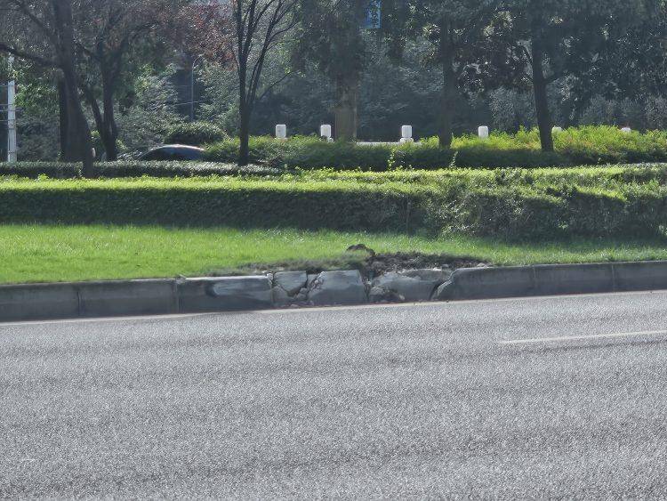成都发生一起严重交通事故<strong></p>
<p>抹茶交易所杠杆代币</strong>，上游新闻实地探访：燃烧留下的印记仍在