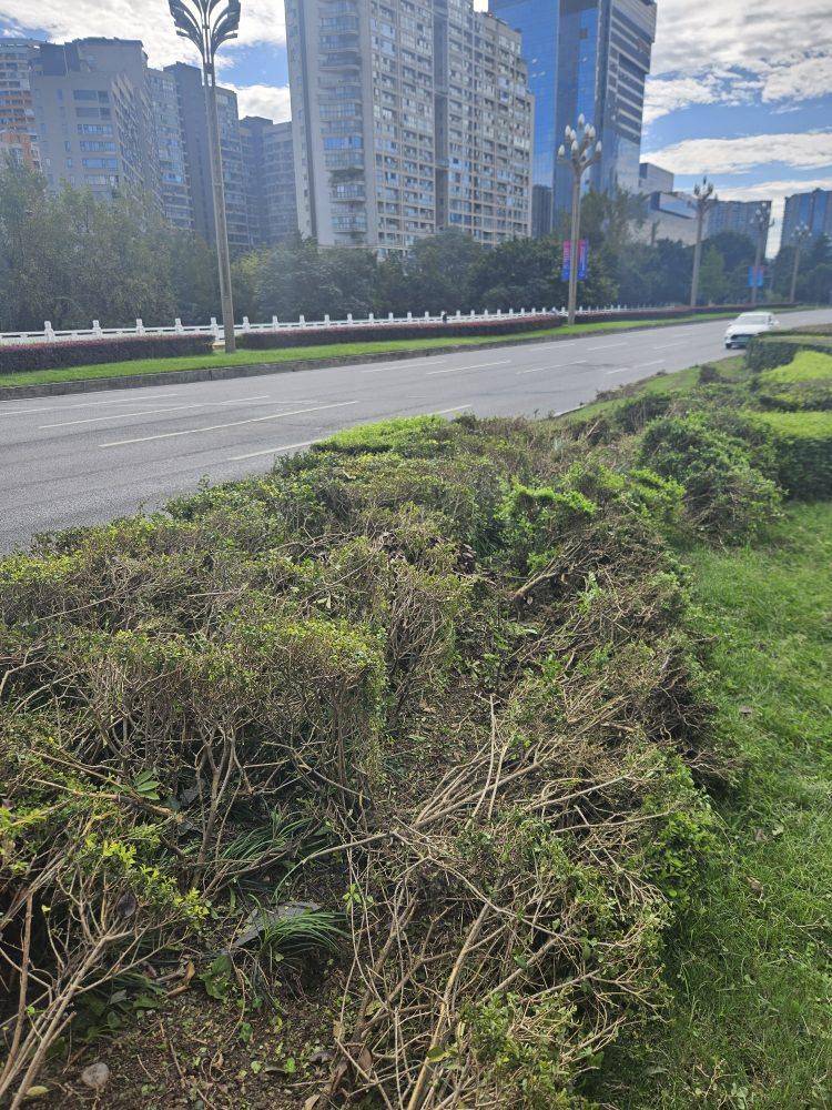 成都发生一起严重交通事故<strong></p>
<p>抹茶交易所杠杆代币</strong>，上游新闻实地探访：燃烧留下的印记仍在
