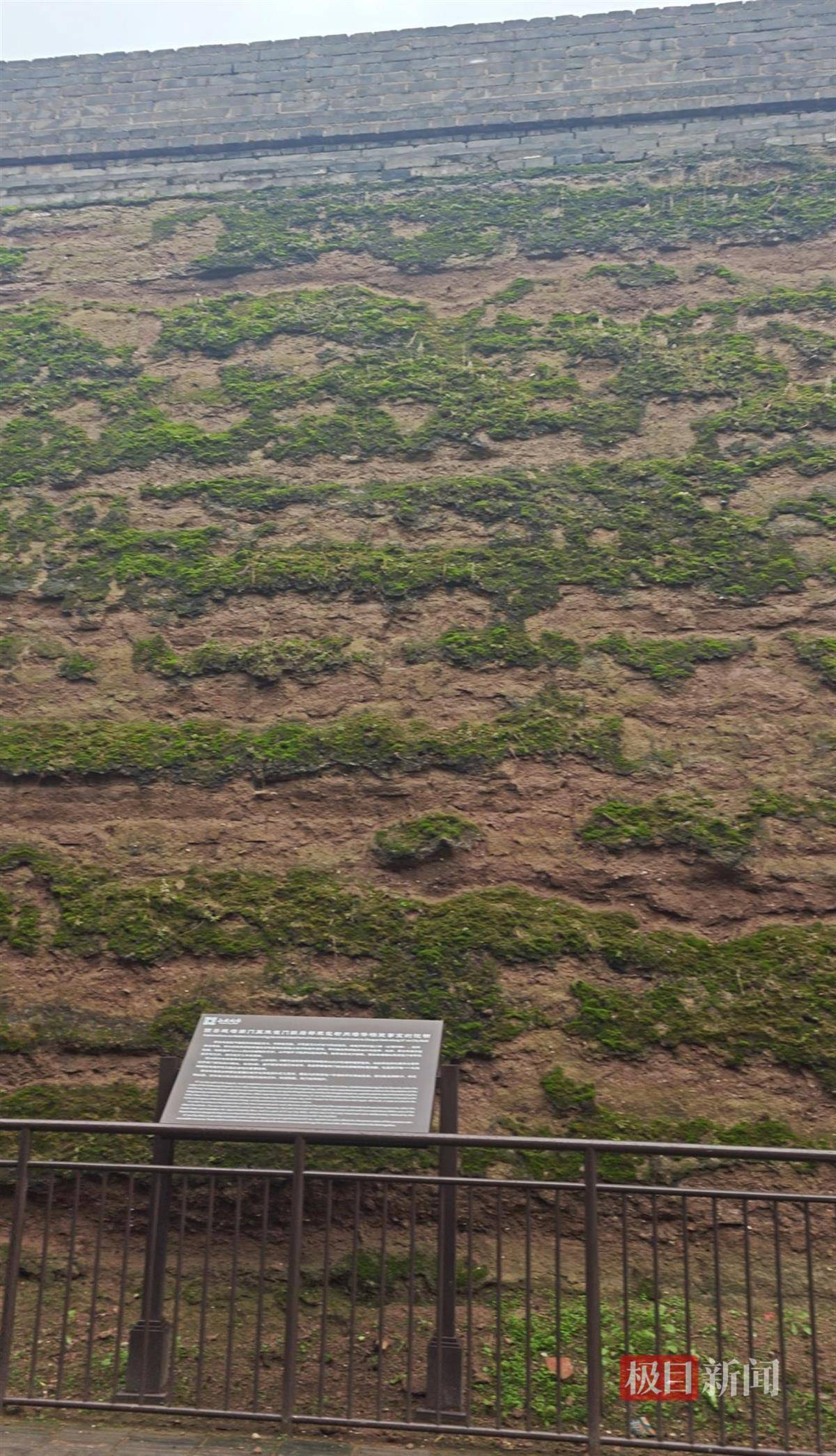 西安连续一个多月降雨遍地长蘑菇<strong></p>
<p>抹茶交易所杠杆代币</strong>，大雁塔受潮，城墙布满青苔，气象局解释成因
