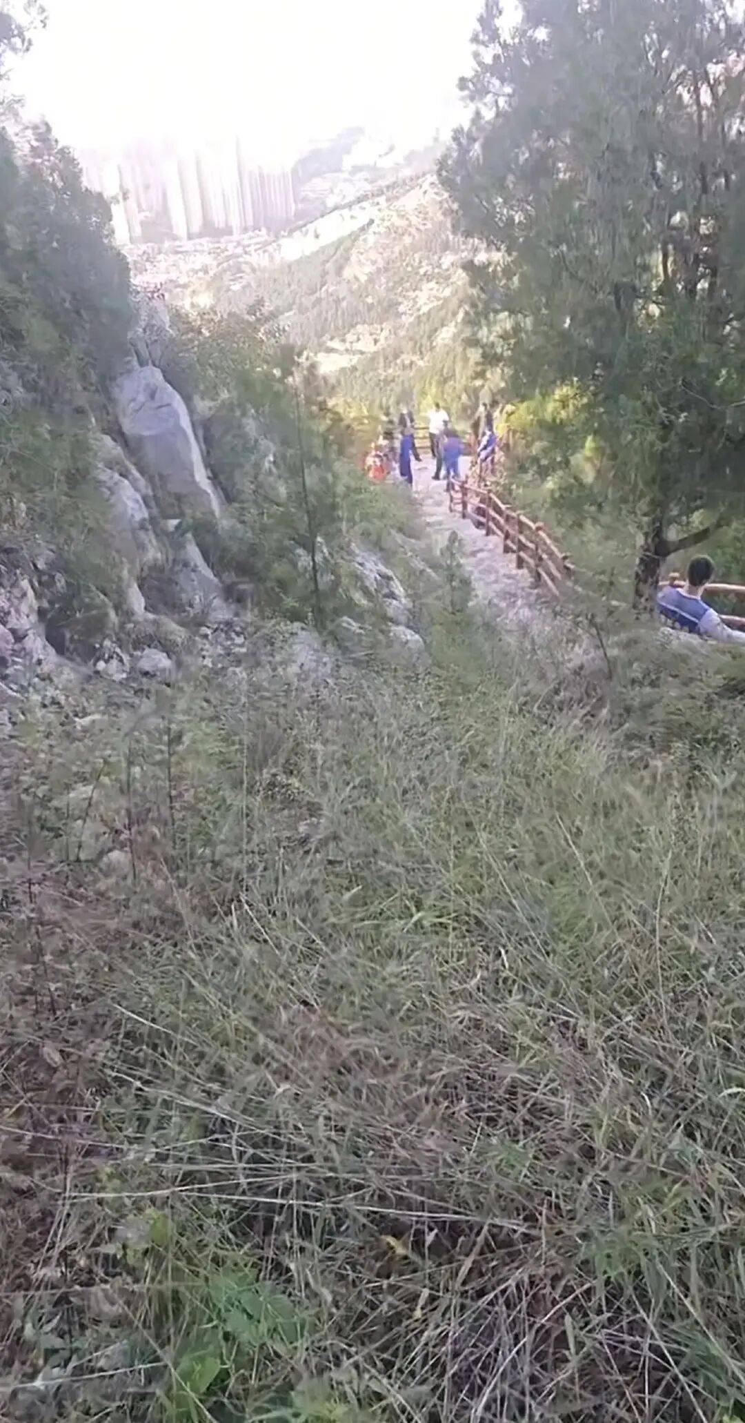 刚刚证实：苏某某已身亡<strong></p>
<p>抹茶交易所哪个最好</strong>，年仅29岁！遗体在离家2公里处……