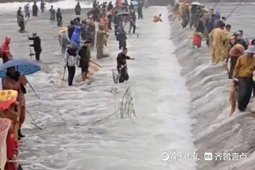 “鱼多得数不过来<strong></p>
<p>抹茶交易所哪个最好</strong>，一网子下去能捞好几条”济南锦绣川水库开闸放水，大量鲢鱼被冲出，工作人员：禁止捕捞！