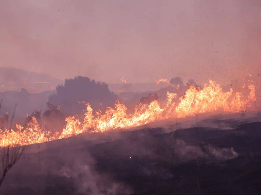 上一次出现现在的状况<strong></p>
<p>海外版下载链接</strong>,地球上尚无人类……