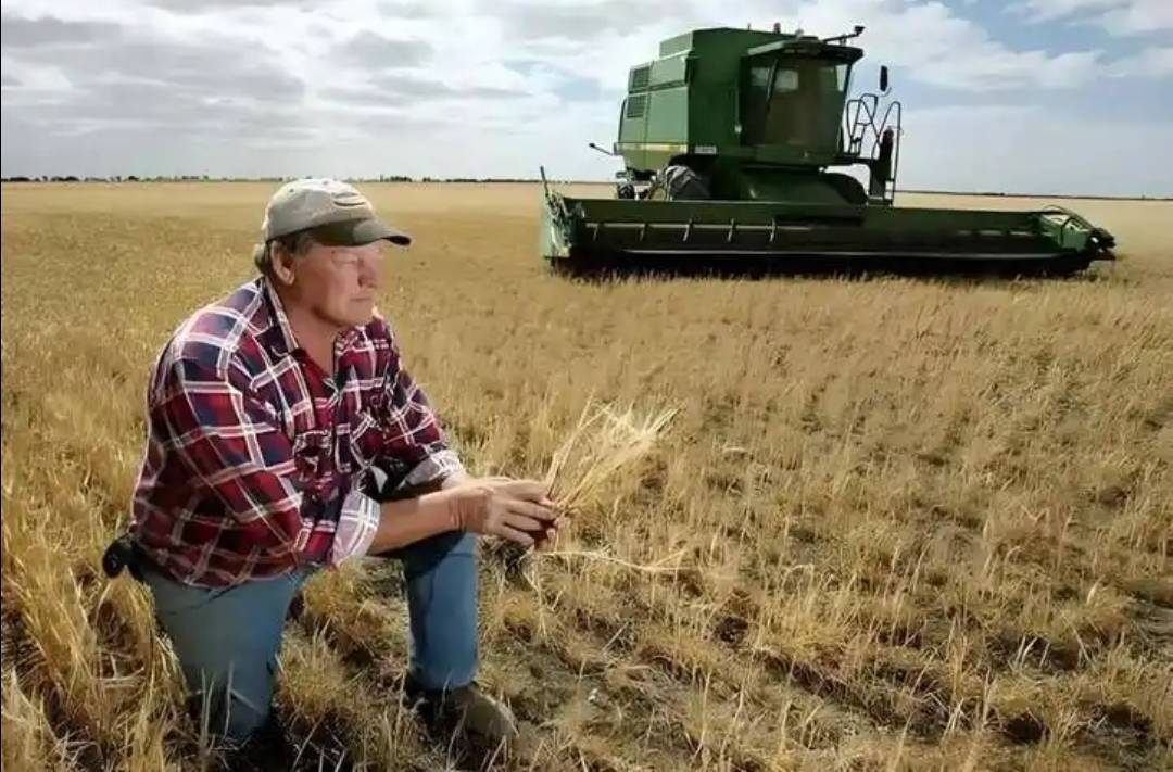 稀土卡脖子<strong></p>
<p>海外版下载链接</strong>,美方军工企业停摆!美财长喊话:开出取消关税的条件,美农户输惨了