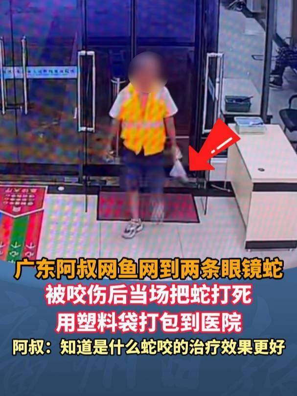 广东62岁阿叔网鱼网到2条眼镜蛇，被咬伤后当场打死，并打包提进医院