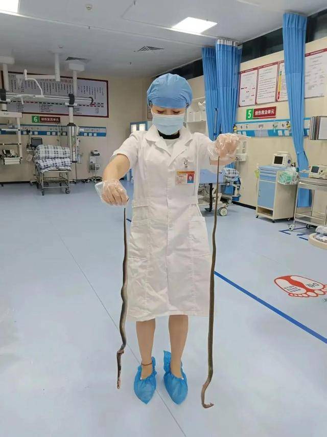 广东62岁阿叔网鱼网到2条眼镜蛇<strong></p>
<p>海外版下载链接</strong>,被咬伤后当场打死,并打包提进医院