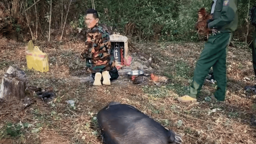 公安机关侦破缅北果敢徐老发犯罪集团专案<strong></p>
<p>抹茶交易所怎么转成人民币</strong>，详情披露！