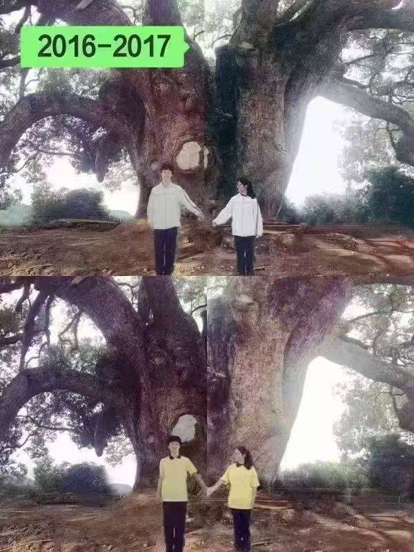 岳阳情侣连续9年在家乡千年古樟树下合影<strong></p>
<p>抹茶交易所怎么转成人民币</strong>,今年国庆终修正果:希望爱情像古树一样长久