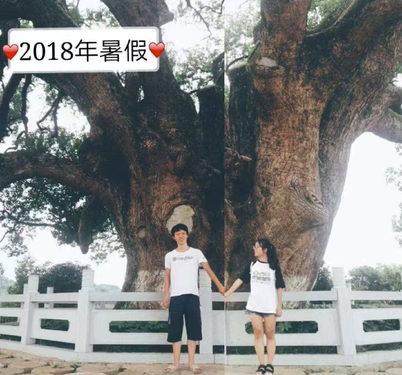 岳阳情侣连续9年在家乡千年古樟树下合影<strong></p>
<p>抹茶交易所怎么转成人民币</strong>,今年国庆终修正果:希望爱情像古树一样长久