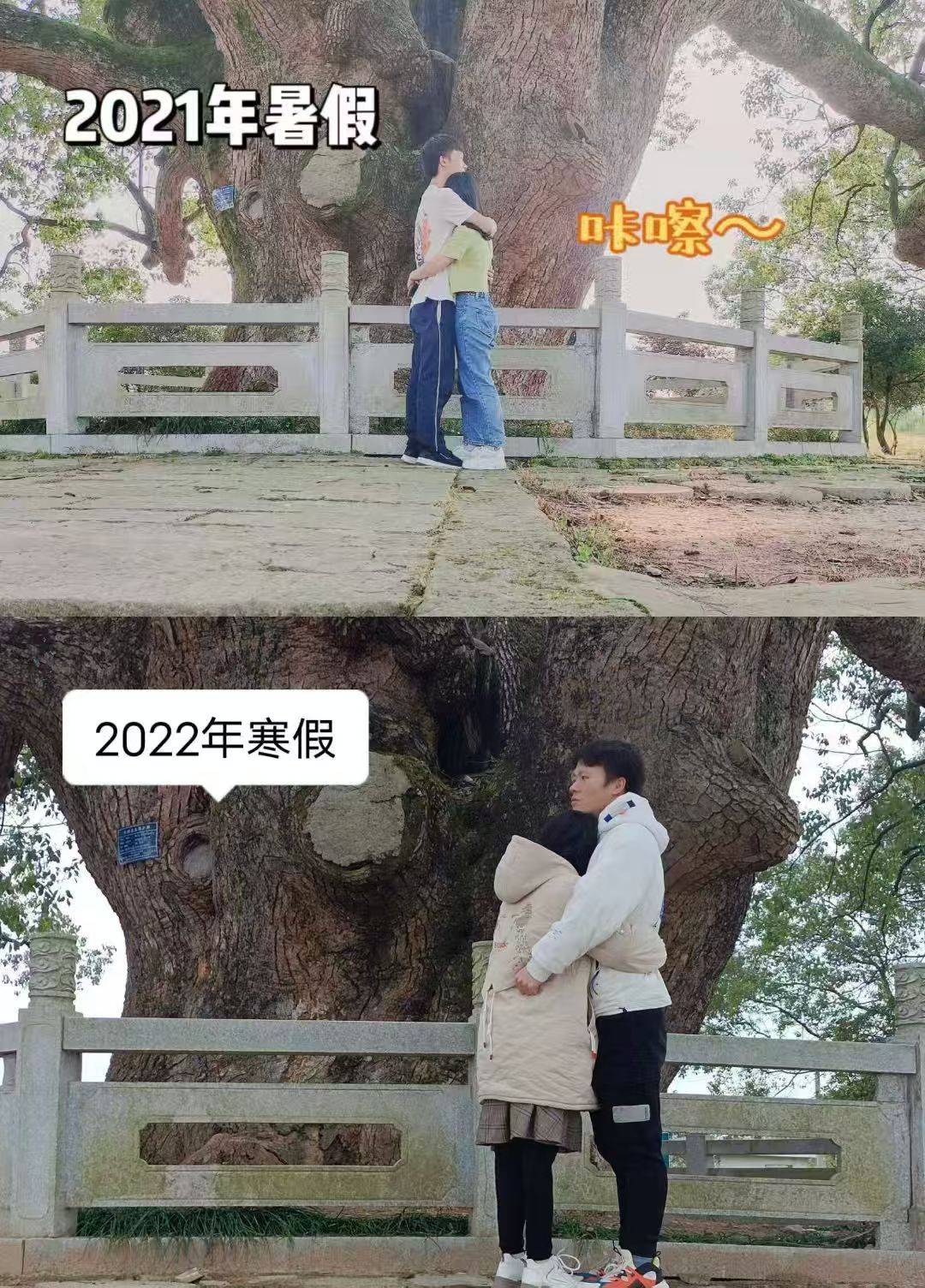 岳阳情侣连续9年在家乡千年古樟树下合影<strong></p>
<p>抹茶交易所怎么转成人民币</strong>,今年国庆终修正果:希望爱情像古树一样长久