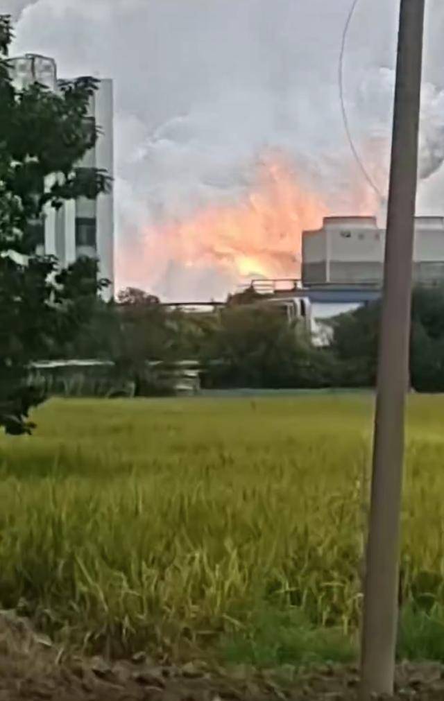 澄星股份工厂发生火灾?附近酒店:已灭火<strong></p>
<p>抹茶交易所 钱包</strong>,有刺激性气味,建议不开窗