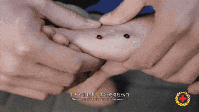 女子半夜上厕所<strong></p>
<p>抹茶交易所注册</strong>,马桶里突然窜出一条蛇!