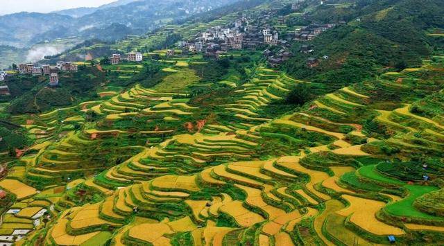 金秋<strong></p>
<p>注册邀请码</strong>,广西的梯田一点不输!