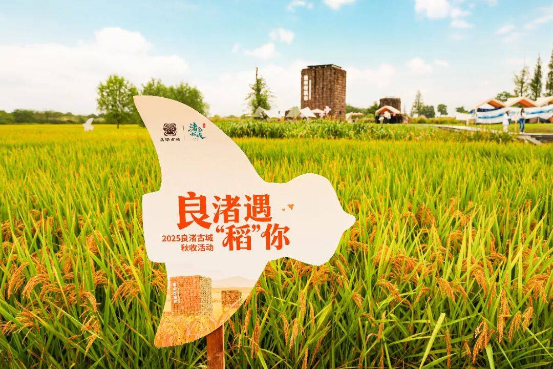 良渚遇“稻”<strong></p>
<p>注册邀请码</strong>你 | 秋季活动正当时