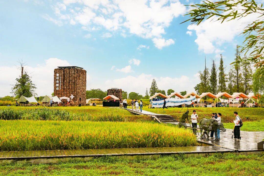 良渚遇“稻”<strong></p>
<p>注册邀请码</strong>你 | 秋季活动正当时