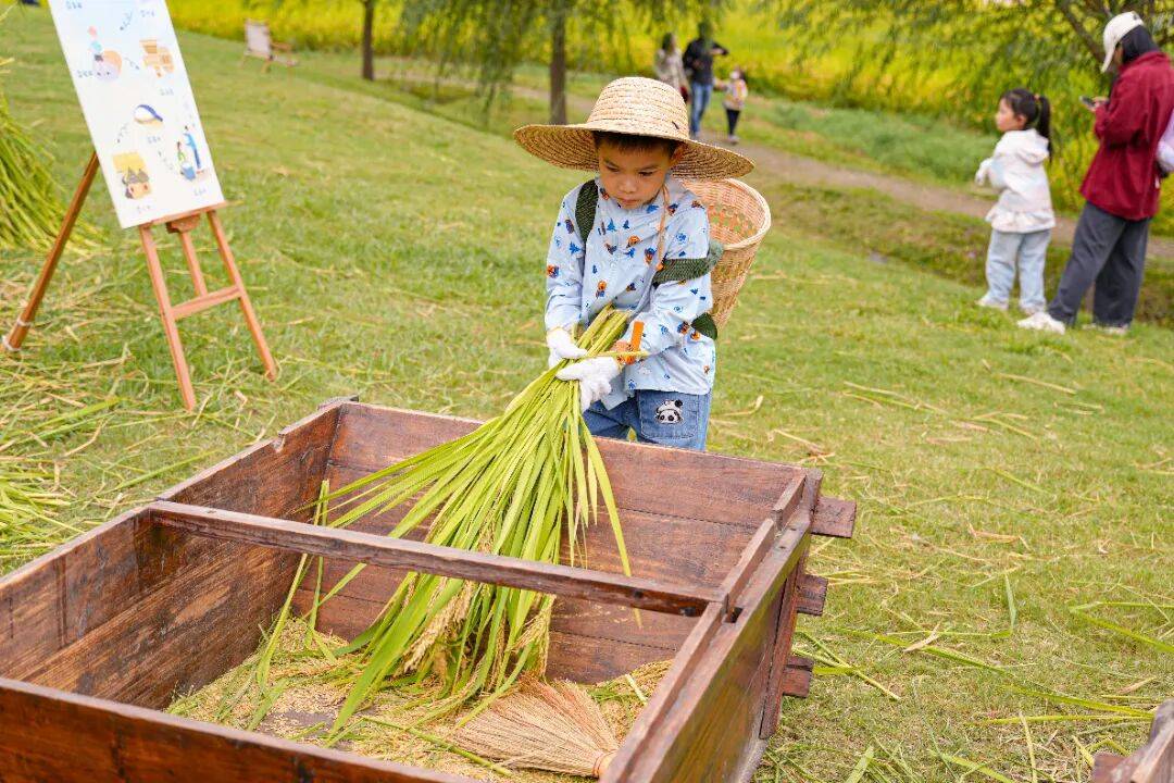 良渚遇“稻”<strong></p>
<p>注册邀请码</strong>你 | 秋季活动正当时