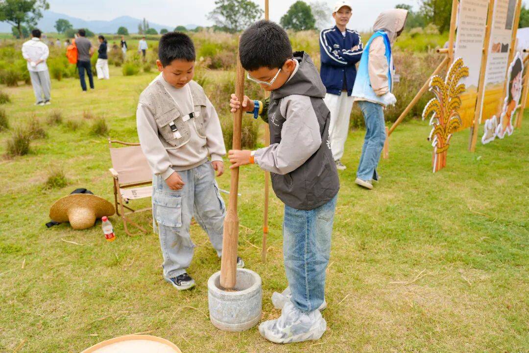 良渚遇“稻”<strong></p>
<p>注册邀请码</strong>你 | 秋季活动正当时