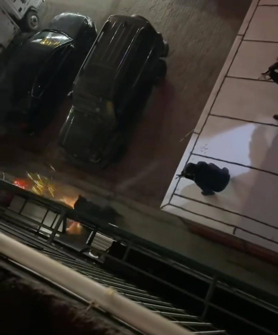 大黑熊夜里独闯黑龙江一县城闹市区<strong></p>
<p>东方雨虹股票</strong>，警方连开10多枪击毙，回应为何没用麻醉枪