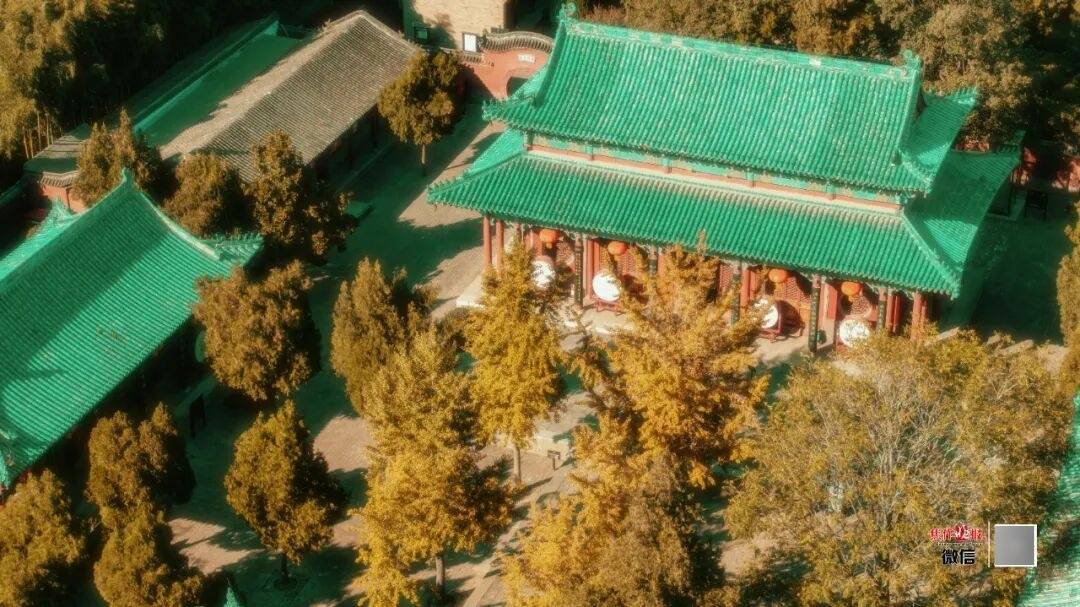 银杏金黄<strong></p>
<p>东方雨虹股票</strong>!铺满焦作的秋天!