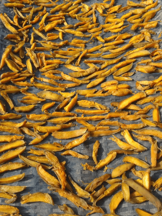 霜降至<strong></p>
<p>东方雨虹股票</strong>,气温会有反转吗?