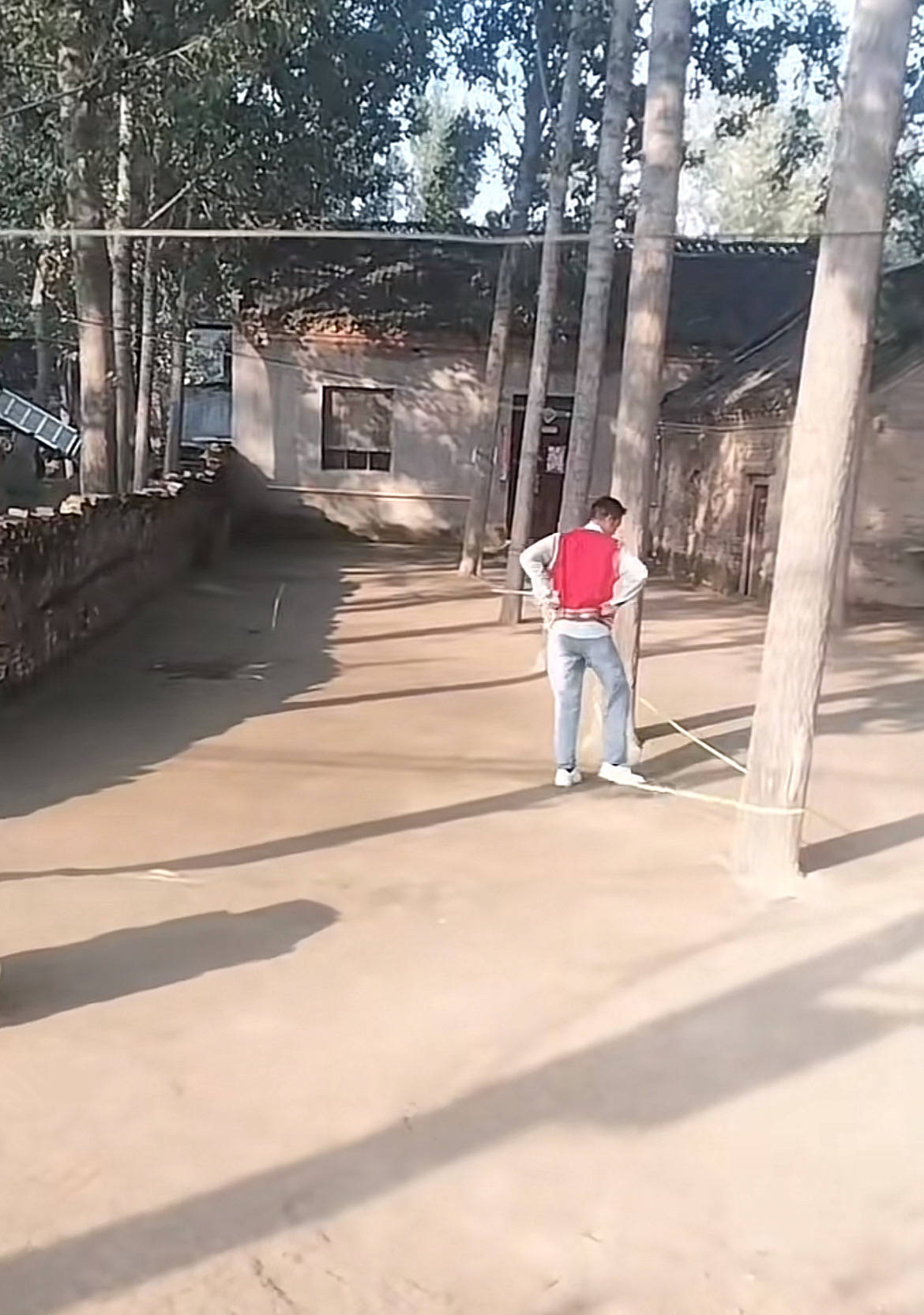 河南一大爷的院子因干净成网红打卡地<strong></p>
<p>股票在线看盘</strong>，网友：像极了小时候家的样子，想拖鞋光脚丫子走