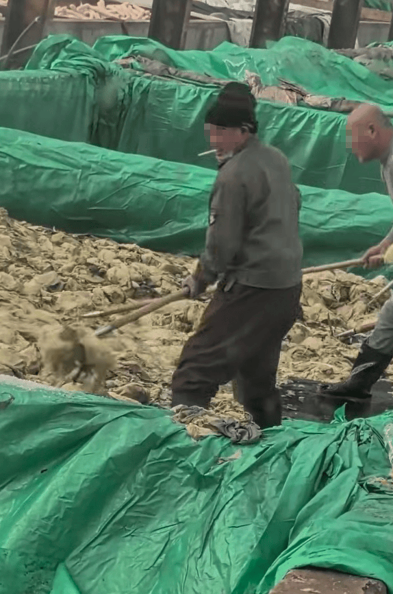 辽宁葫芦岛一男子酸菜池中抽烟吐痰<strong></p>
<p>中国中车股票</strong>，曝光视频令人反胃！省市两级市监介入