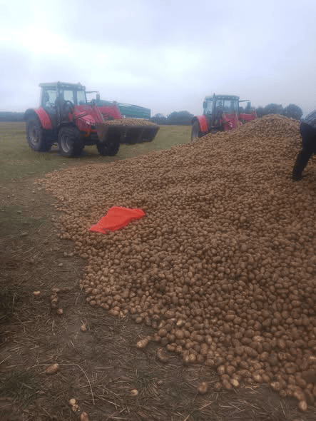 波兰68岁农民收获的150吨土豆被一夜搬空<strong></p>
<p>中国中车股票</strong>, 只因帖子遭篡改