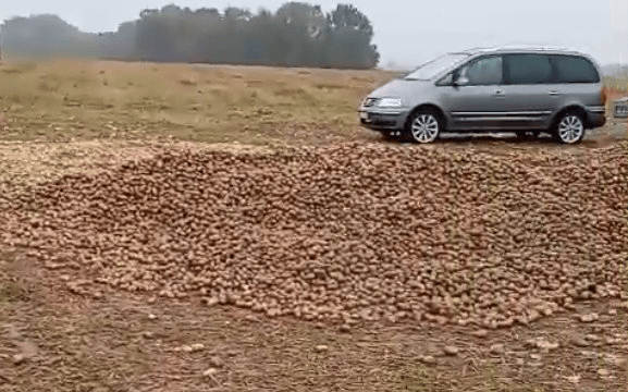 波兰68岁农民收获的150吨土豆被一夜搬空<strong></p>
<p>中国中车股票</strong>, 只因帖子遭篡改