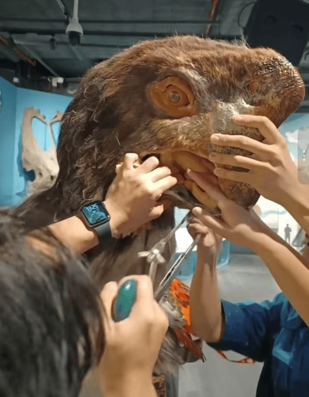 被卡住了<strong></p>
<p>中国中车股票</strong>!广州一游客把手伸进恐龙模型嘴中