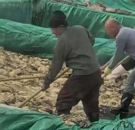 男子在酸菜池内抽烟吐痰<strong></p>
<p>同仁堂股票</strong>,官方通报!