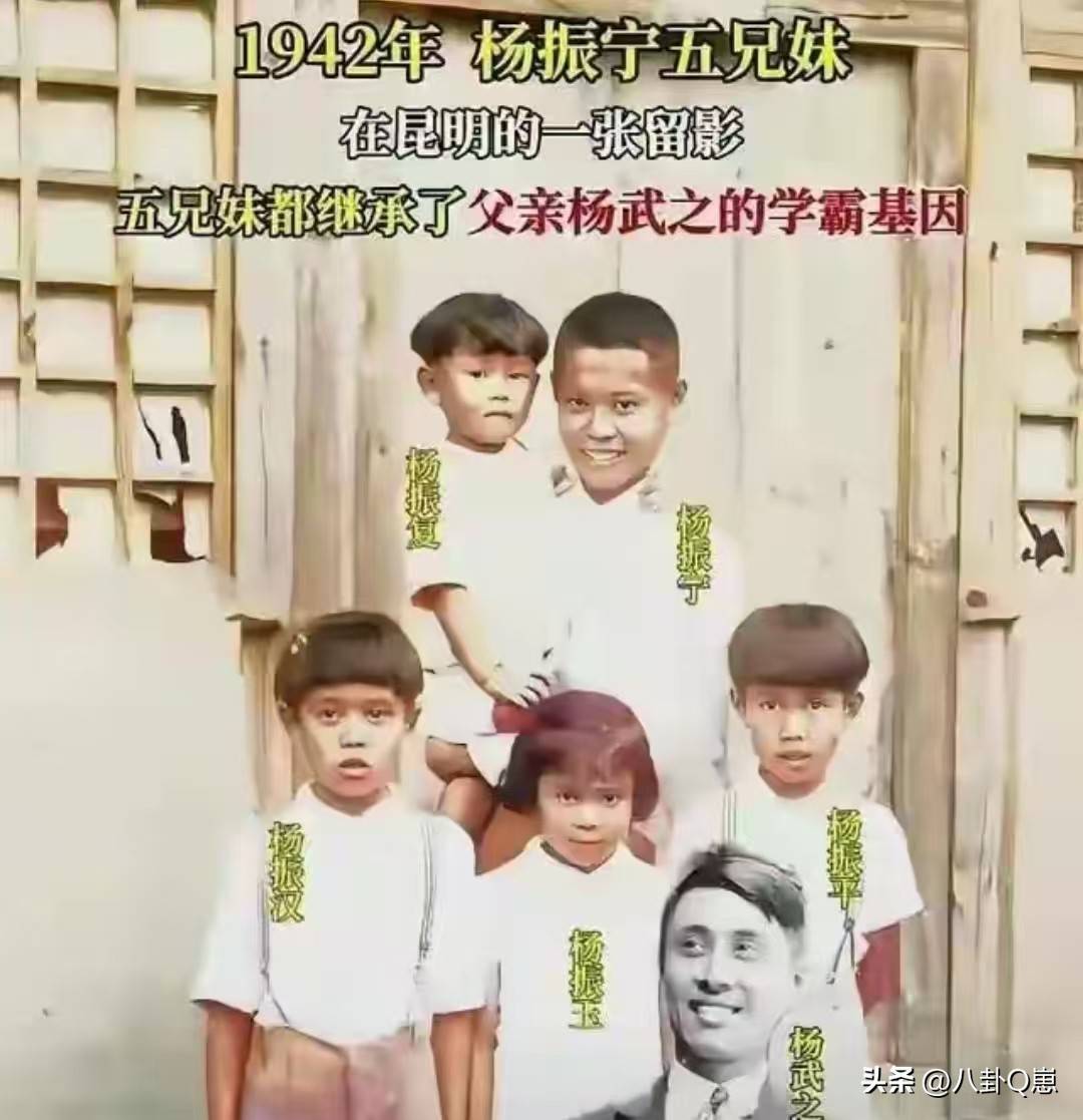 不查不知道<strong></p>
<p>恒生电子股票</strong>,一查吓一跳!杨振宁的弟弟杨振汉,人生活的这么精彩