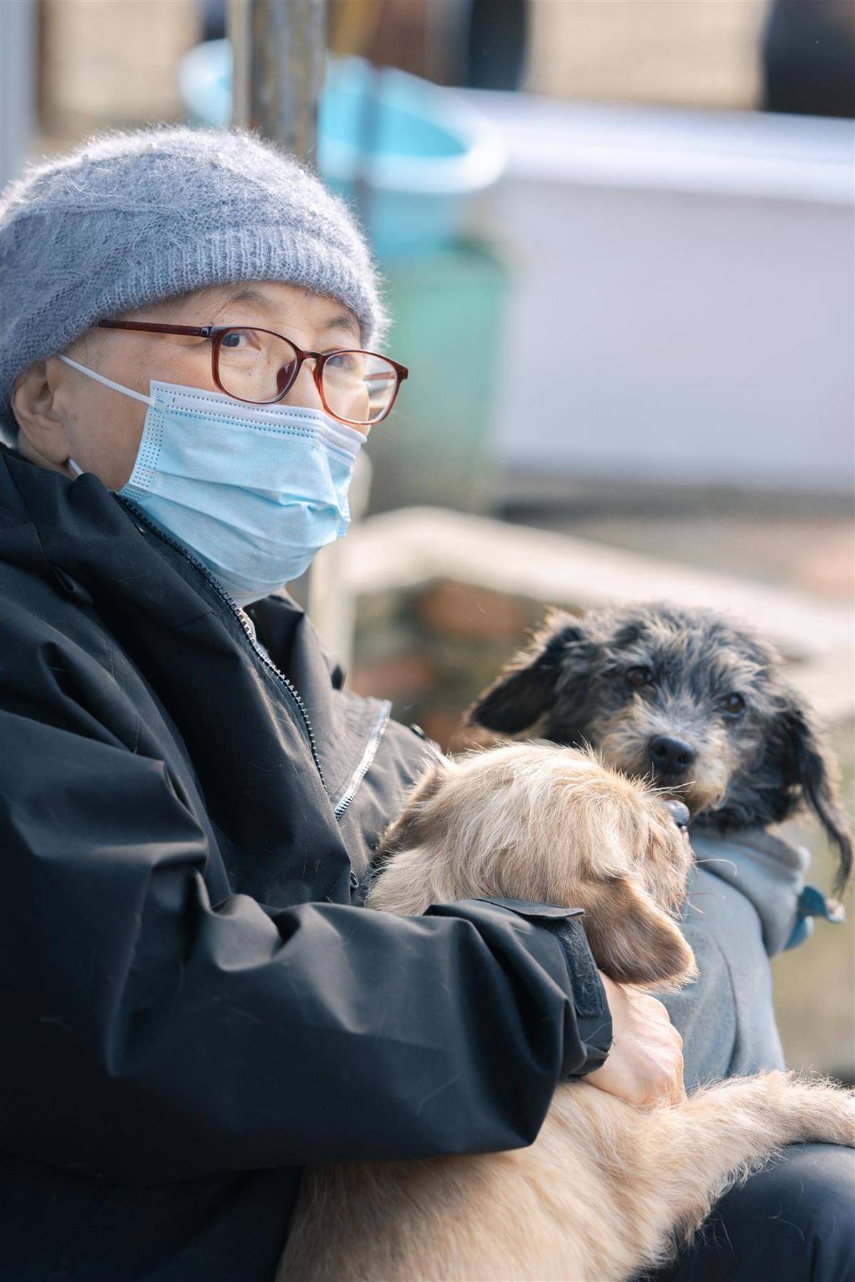 合肥卖房救助流浪狗的魏阿姨离世<strong></p>
<p>赣锋锂业股票</strong>,病中仍然惦记着基地的600只流浪狗,工人:不敢相信世上还有这样执着的人