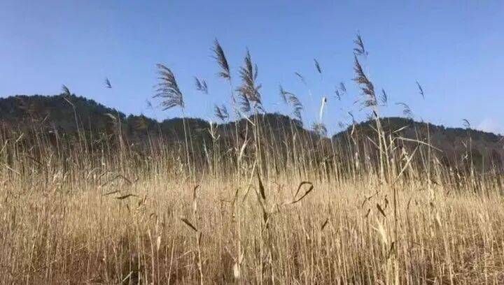 禁止任何形式穿越<strong></p>
<p>中国中铁股票</strong>!杭州一地发布最严禁令