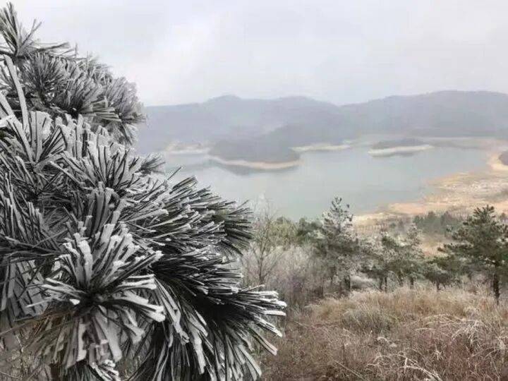 禁止任何形式穿越<strong></p>
<p>中国中铁股票</strong>!杭州一地发布最严禁令