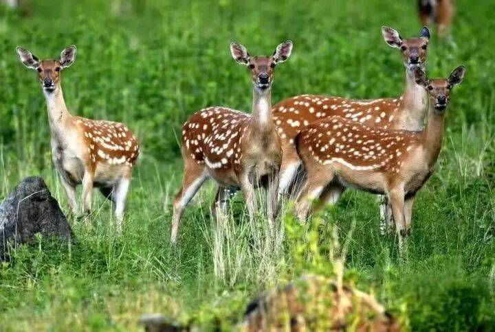 禁止任何形式穿越<strong></p>
<p>中国中铁股票</strong>!杭州一地发布最严禁令