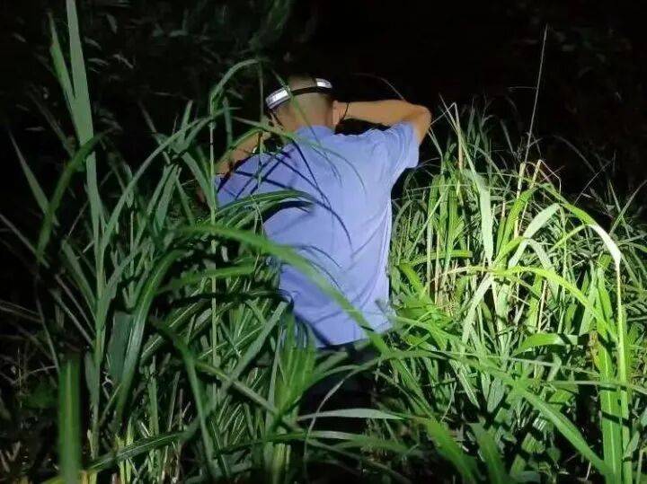 禁止任何形式穿越<strong></p>
<p>中国中铁股票</strong>!杭州一地发布最严禁令