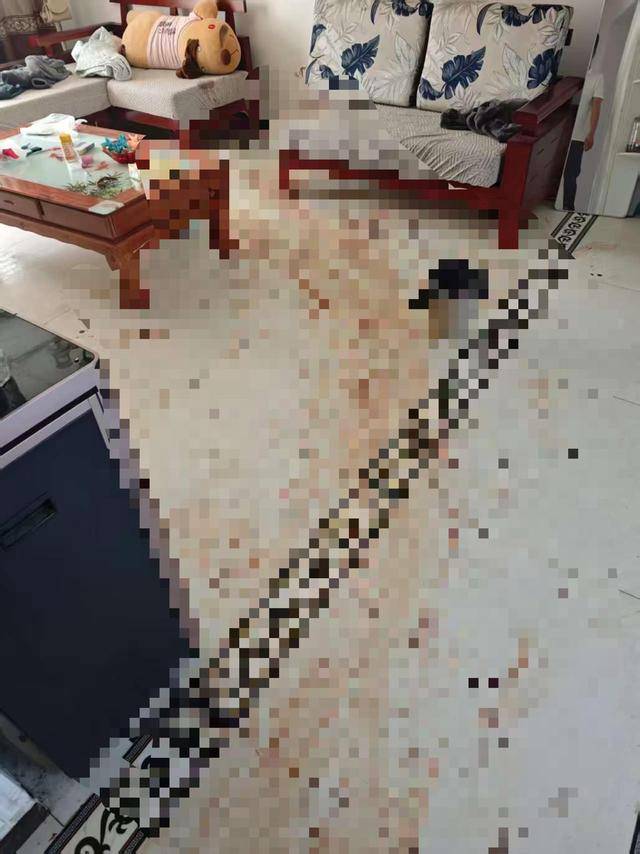 “女子出租屋遭男友持刀杀害”案明日开庭<strong></p>
<p>小商品城股票</strong>,家属发声:凶手从未道歉,我们不会谅解