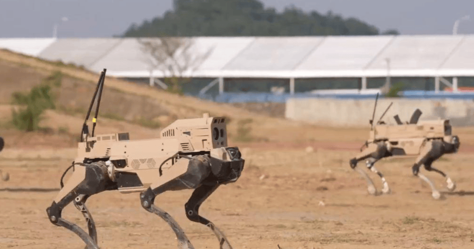 解放军“机器狼”投入台海<strong></p>
<p>海天味业股票</strong>,集群抢滩动作丝滑