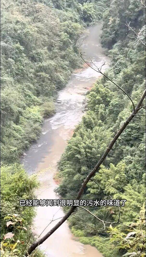 重庆通报：坚决查处<strong></p>
<p>锦龙股份股票</strong>，绝不姑息