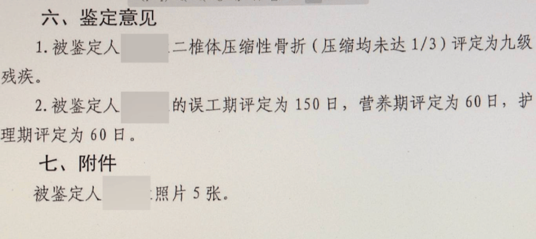 大型犬未拴绳惊倒路人，饲养人赔了28万元