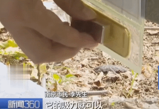 不是慢镜头!福建舰电磁弹射速度那么快<strong></p>
<p>今日股票</strong>,是怎么瞬间刹车的?