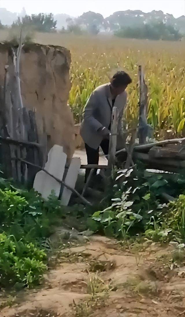 女子疑因拍亲姑姑偷玉米遭姑父棍杀<strong></p>
<p>高新兴股票</strong>,邻居欲报警也遇害