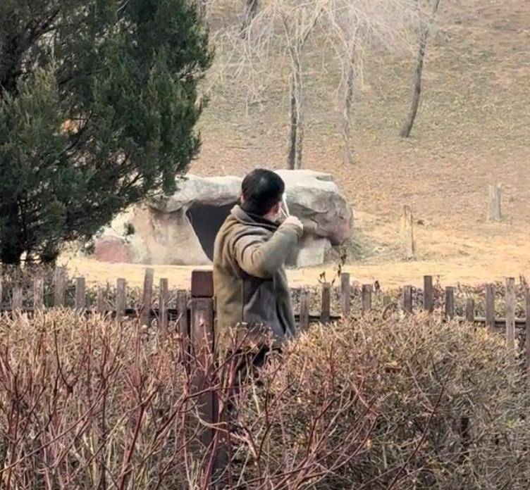 沈阳一男子动物园内用弹弓射老虎<strong></p>
<p>中公教育股票</strong>,目击者称其“填装了弹丸”,打完后老虎爬起来了,园方:正在核实情况