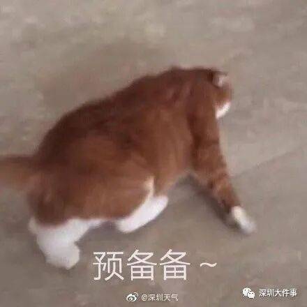 广东全省入秋了<strong></p>
<p>中国电信股票</strong>,冷空气最快今晚抵达广州