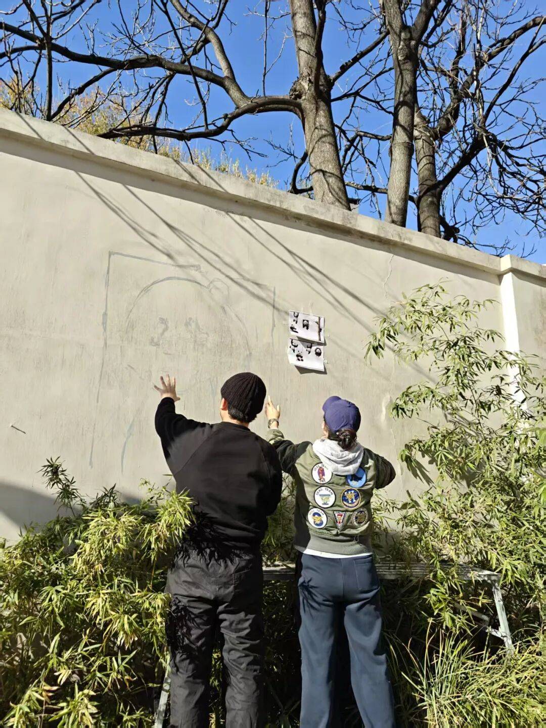“颜值”出圈 天津和平区独山路这面彩绘墙“亮”<strong></p>
<p>中国电信股票</strong>了
