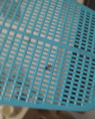 被吵得整宿睡不着<strong></p>
<p>格林美股票</strong>!大连女子:已经持续了近半个月