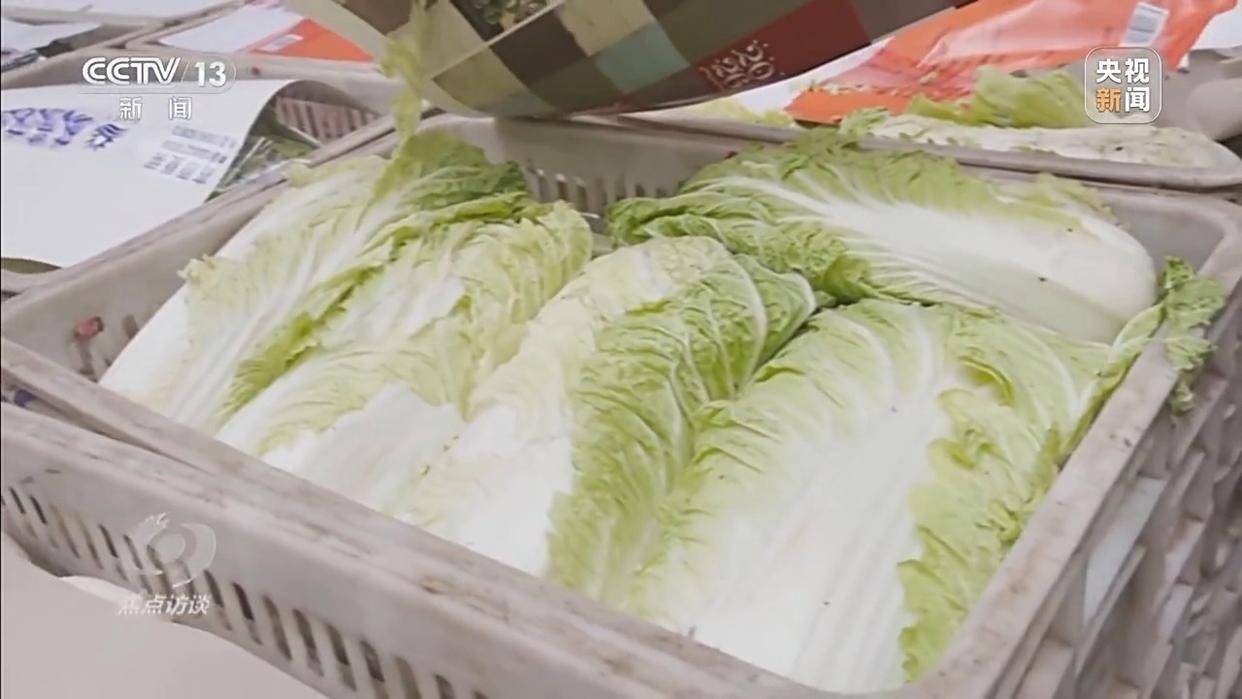 单棵售价超百元<strong></p>
<p>同花顺炒股票</strong>,起底“套牌白菜”背后的销售套路