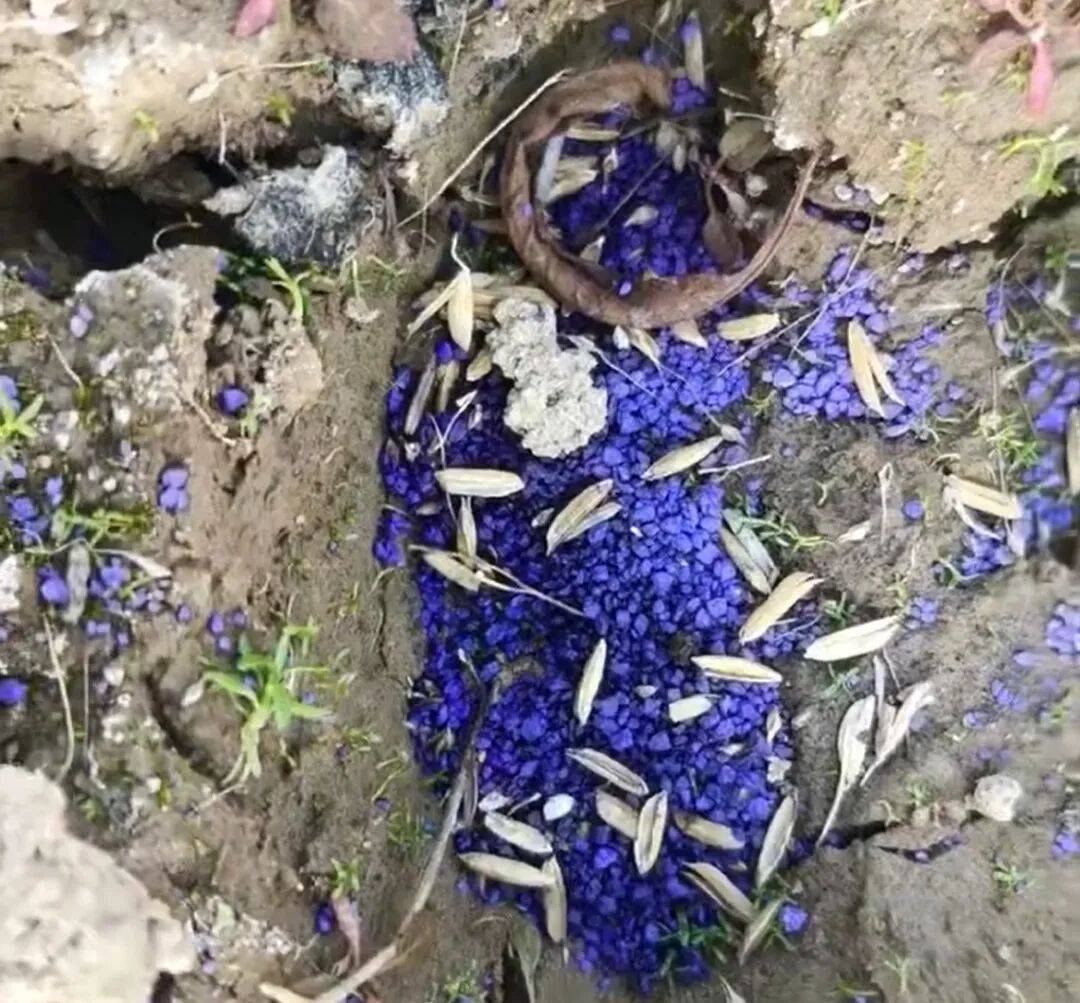 江西余干警方通报:3人疑似在鄱阳湖湿地毒害野生动物<strong></p>
<p>第一创业股票</strong>,已采取刑事强制措施