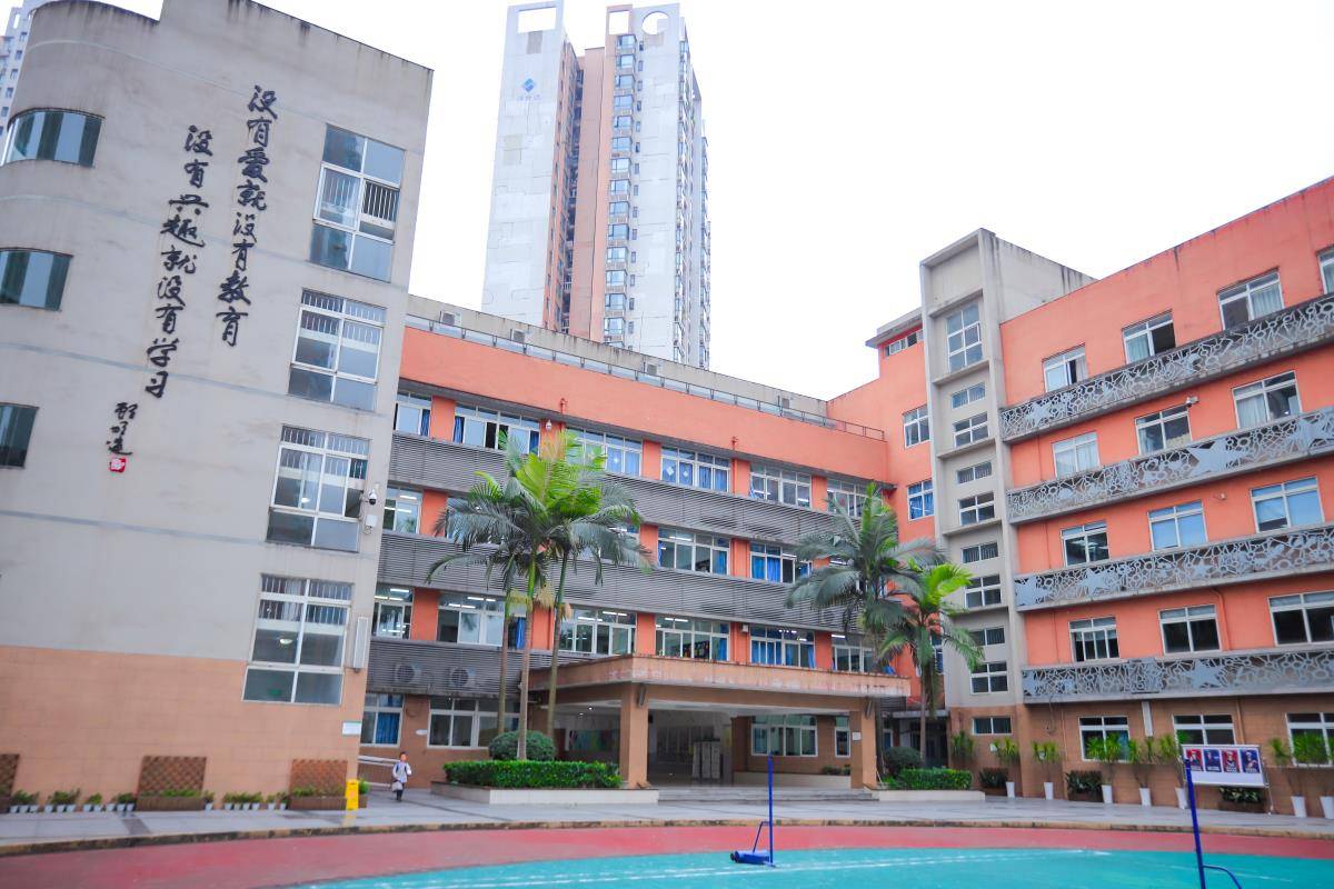 重庆一小学禁止“二手房”业主孩子入读<strong></p>
<p>第一创业股票</strong>,当地:孩子多学校容量小,已调研后期可能调整