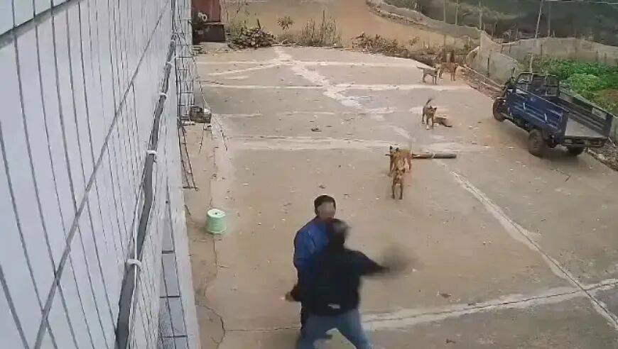 男子家门口吃橘子被邻居一拳打昏<strong></p>
<p>上海电气股票股吧</strong>,警方通报:因养狗问题起冲突,均有受伤